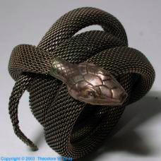 Cool Snake Picture
