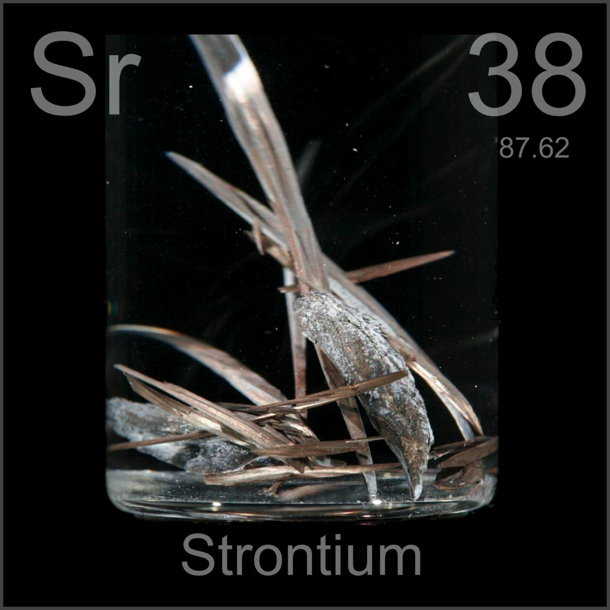 Strontium Dendritic crystal