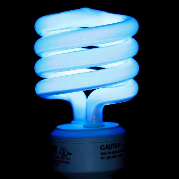 Mercury Compact fluorescent bulb