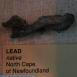 Lead Native lead