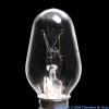 Argon Ordinary light bulb
