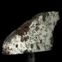 Iron Silicated iron meteorite slice