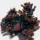 Copper Electrochemically grown crystal