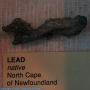 Lead Native lead