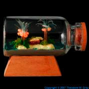 Hydrogen Island In A Bottle